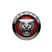 Jaguar 3